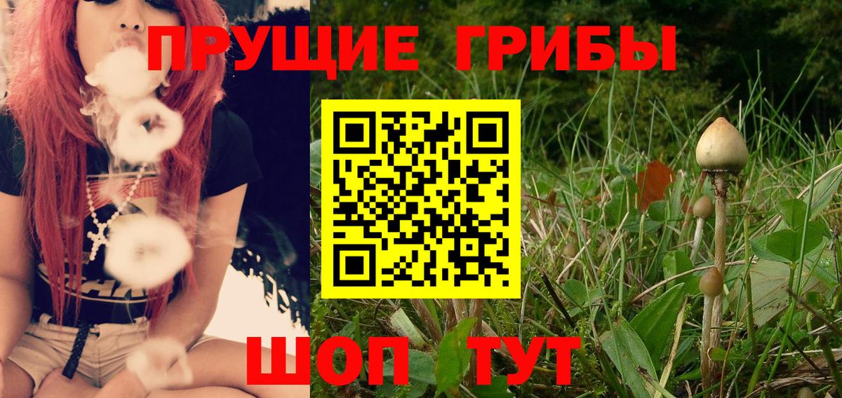 Галлюциногенные грибы Psilocybine cubensis  Вход с VPN  Усть-Джегута 